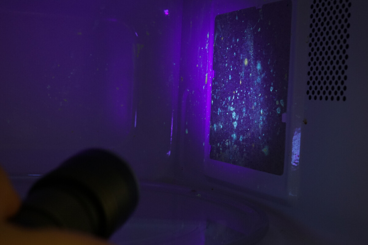 KOOLBEAM　390-395nm UVライトの画像