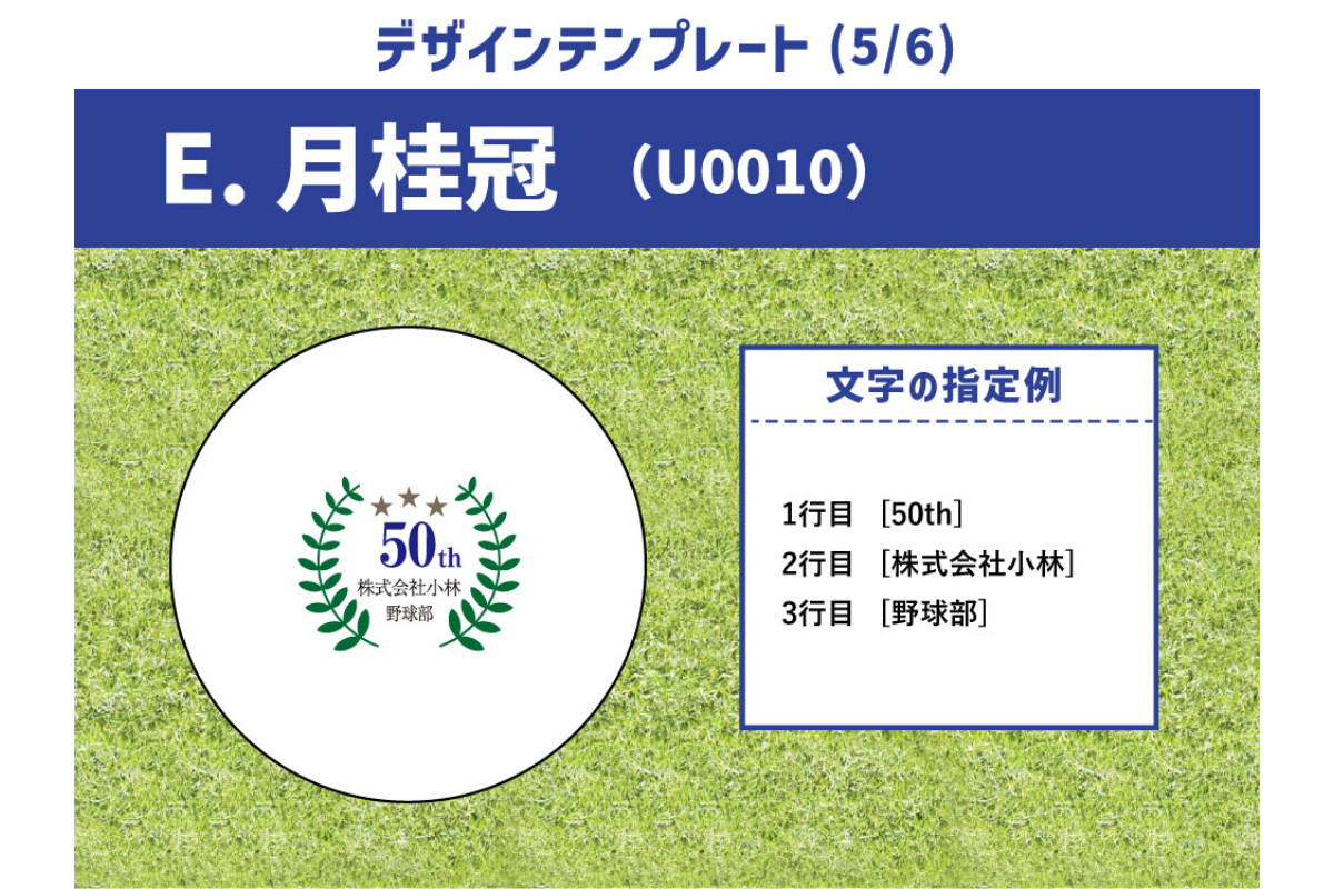 【6～10球まで】名前入り野球ボール【特注】の画像