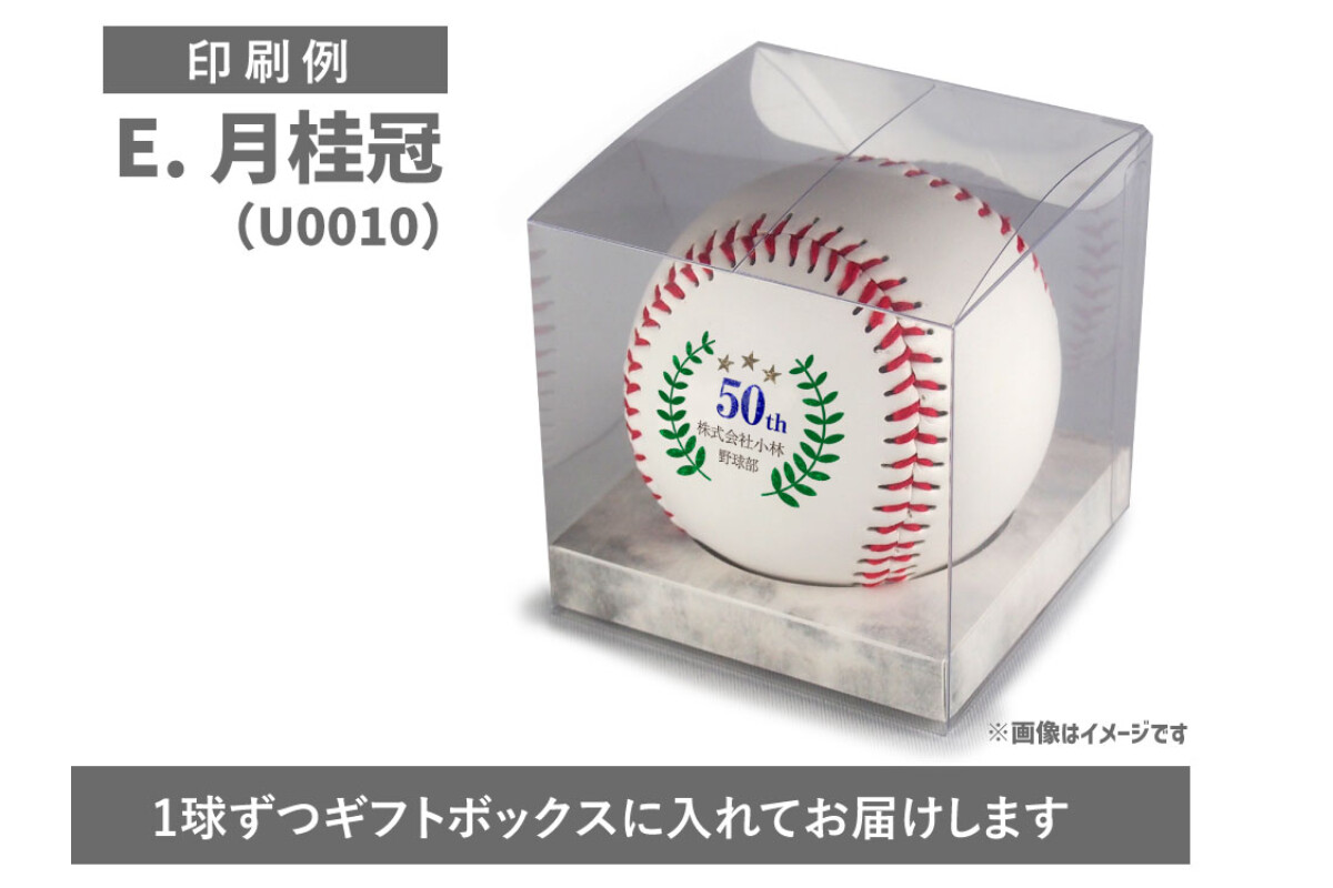 【6～10球まで】名前入り野球ボール【特注】の画像